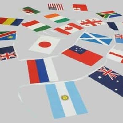 15m 20 flag 18x12 Assorted World Bunting