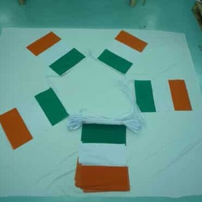 20m 32 flag 18"x12" Ireland Bunting