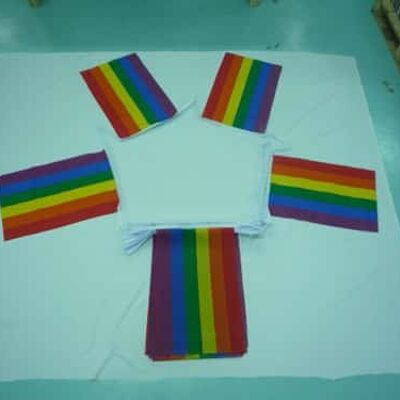 20m 32 flag 18"x12" Rainbow Bunting - Gay Pride