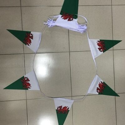 20m 50 flag 8x12 triangle Wales (Welsh) bunting