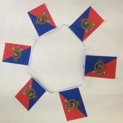 6m 20 flag Adjutant General Corps bunting