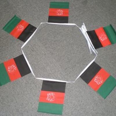 6m 20 flag Afghanistan bunting