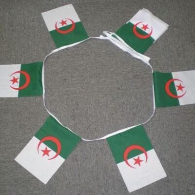 6m 20 flag Algeria bunting