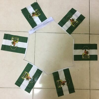 6m 20 flag Andalusia bunting