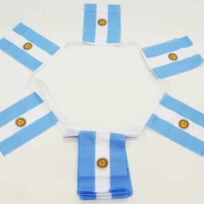 6m 20 flag Argentina Bunting