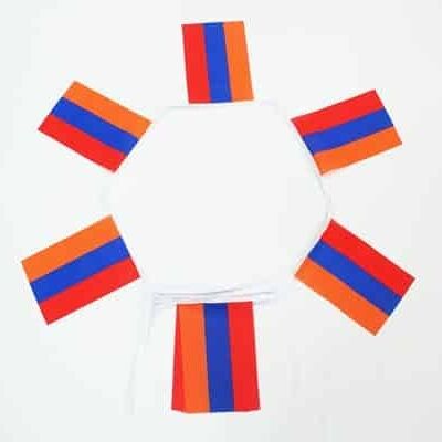 6m 20 flag Armenia bunting