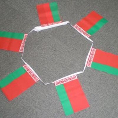 6m 20 flag Belarus bunting