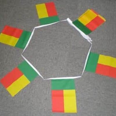 6m 20 flag Benin bunting