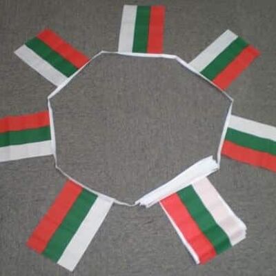 6m 20 flag Bulgaria bunting