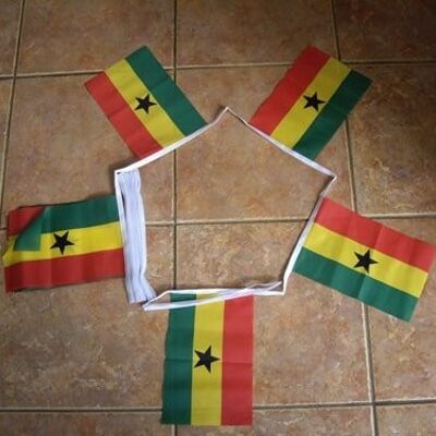 6m 20 flag Cameroon bunting