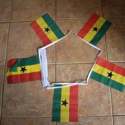 6m 20 flag Cameroon bunting