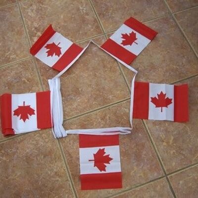 6m 20 flag Canada bunting