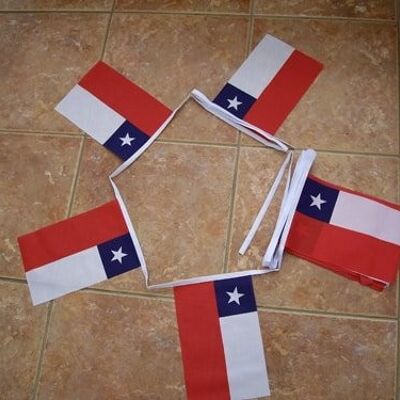 6m 20 flag Chile bunting