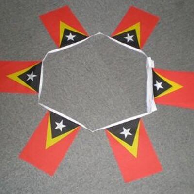 6m 20 flag East Timor bunting