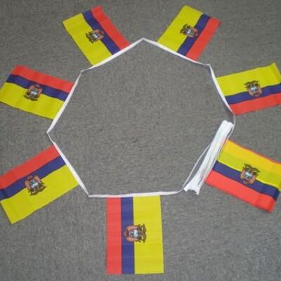 6m 20 flag Ecuador bunting