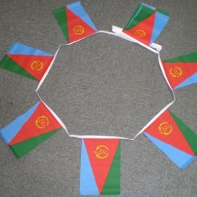 6m 20 flag Eritrea bunting