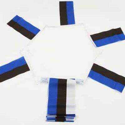 6m 20 flag Estonia Bunting