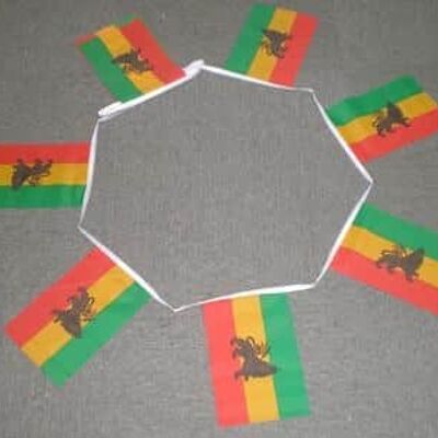 6m 20 flag Ethiopia with Lion bunting