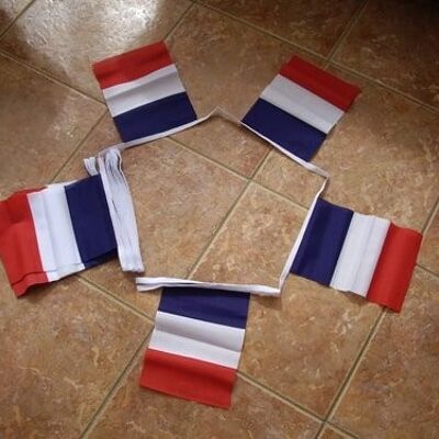 6m 20 flag France Bunting