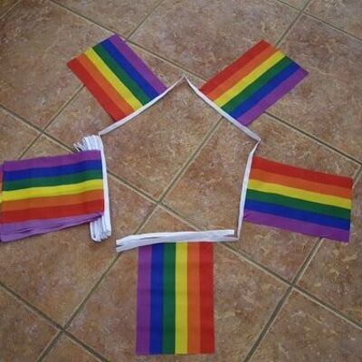 6m 20 flag Gay Pride Rainbow Bunting