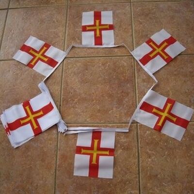 6m 20 Flag Guernsey Bunting