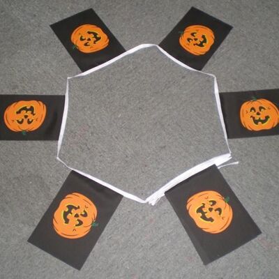 6m 20 flag Halloween Pumpkin bunting