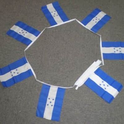6m 20 flag Honduras bunting