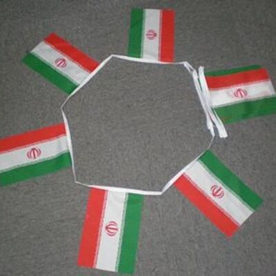6m 20 flag Iran bunting