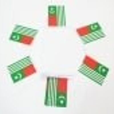 6m 20 flag Kashmir bunting