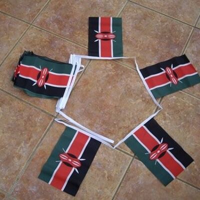 6m 20 flag Kenya bunting