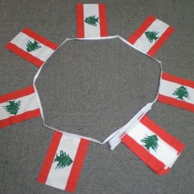 6m 20 flag Lebanon bunting