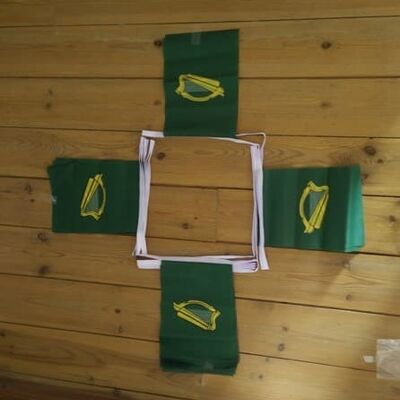 6m 20 flag Leinster bunting