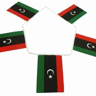 6m 20 flag Libya New Bunting