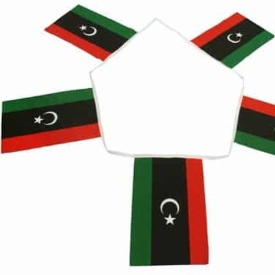 6m 20 flag Libya New Bunting