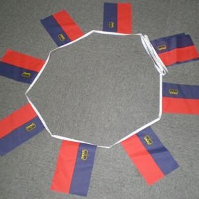 6m 20 flag Liechtenstein bunting