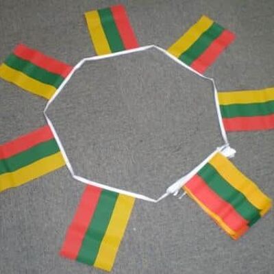 6m 20 flag Lithuania bunting
