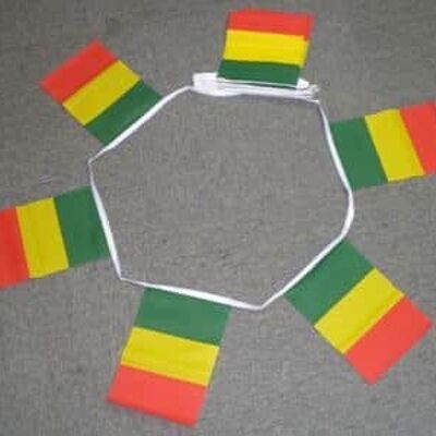 6m 20 flag Mali bunting