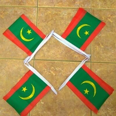 6m 20 flag Mauritania new bunting