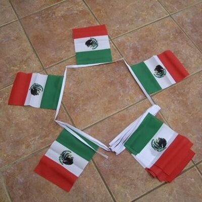 6m 20 Flag Mexico Bunting