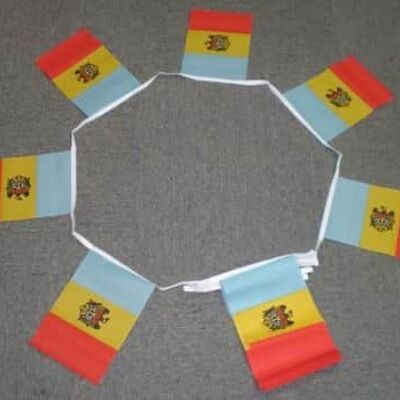 6m 20 flag Moldova bunting