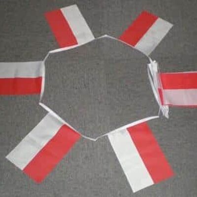 6m 20 flag Monaco bunting