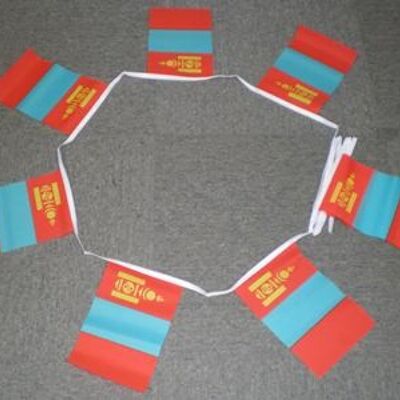 6m 20 flag Mongolia bunting