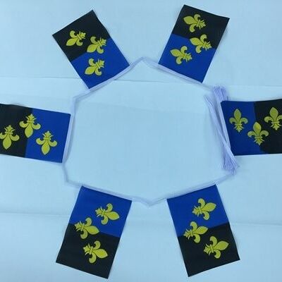 6m 20 flag Monmouthshire bunting