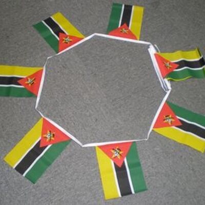 6m 20 flag Mozambique bunting