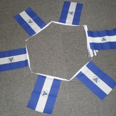 6m 20 flag Nicaragua bunting