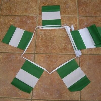 6m 20 flag Nigeria bunting
