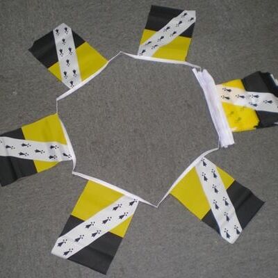 6m 20 flag Norfolk bunting