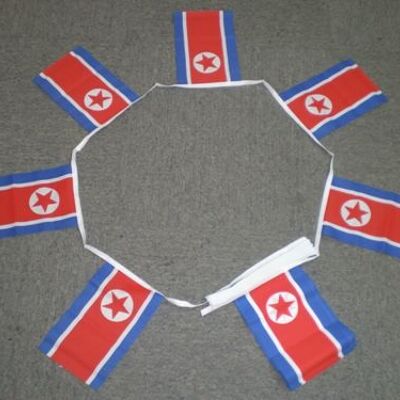 6m 20 flag North Korea bunting