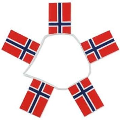 6m 20 flag Norway bunting