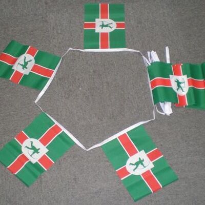 6m 20 flag Nottinghamshire bunting